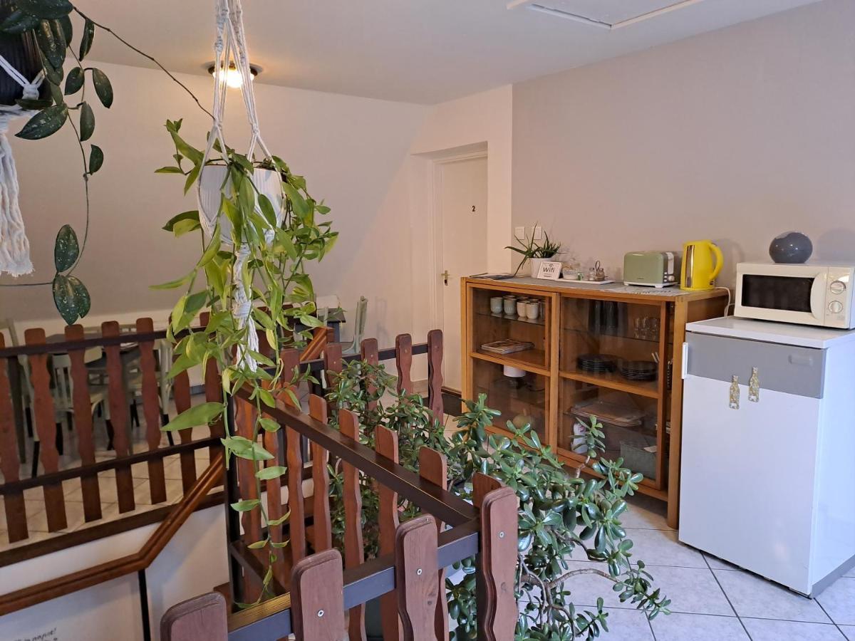Diokert Vendeghaz Sopron